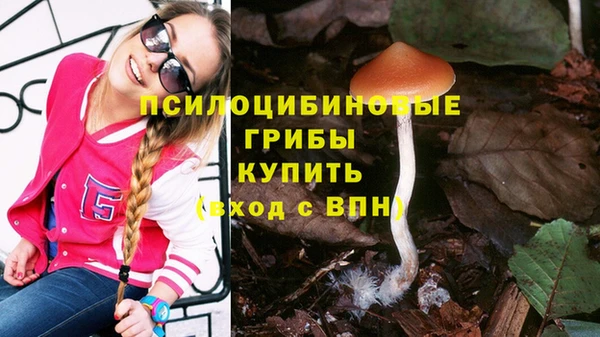 трава Алексеевка