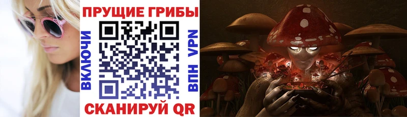 Галлюциногенные грибы Psilocybine cubensis Алапаевск